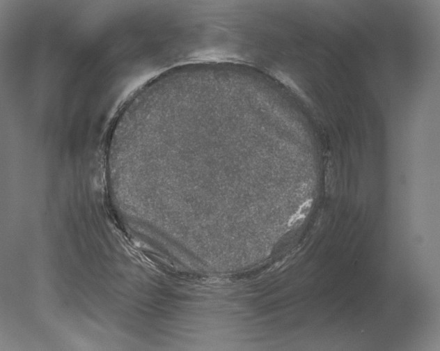 X0000080161358200701051554