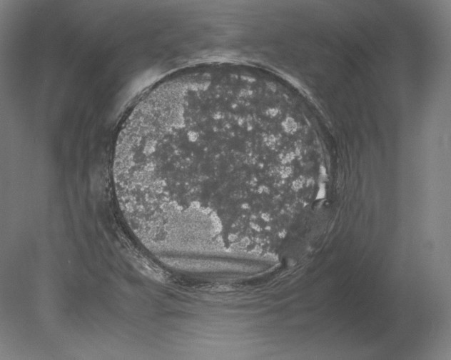 X0000080161359200701051554