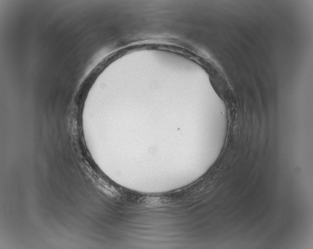 X0000080161360200701051554