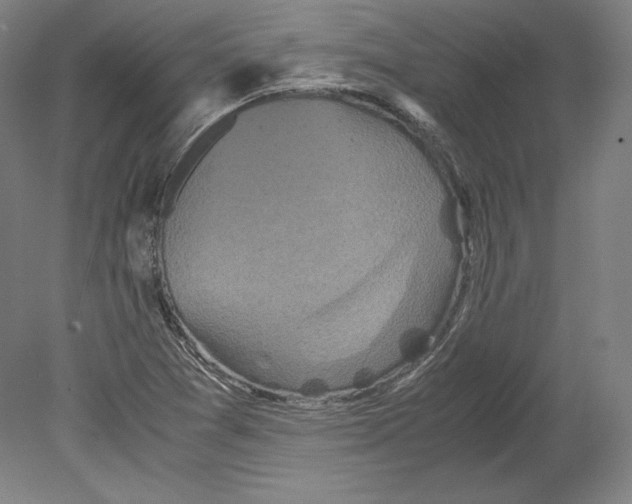 X0000080161361200701051554