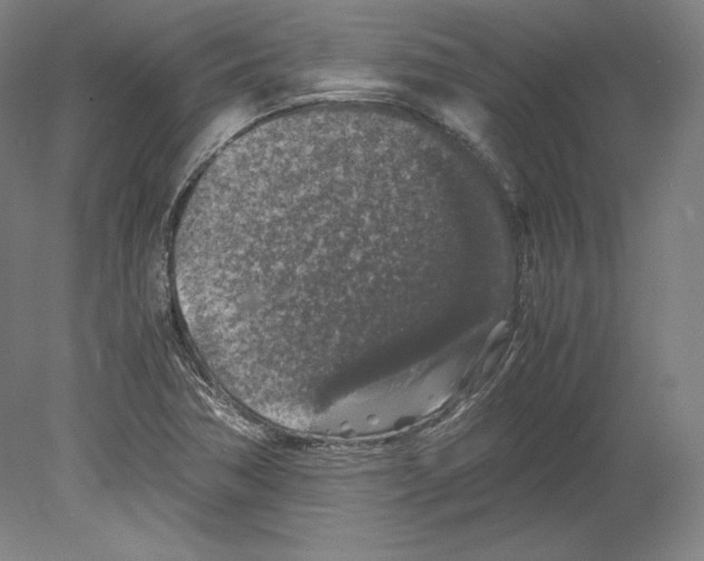 X0000080161362200701051554