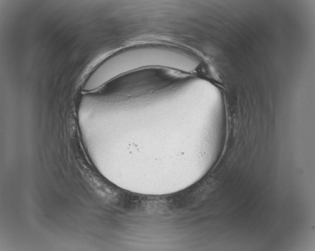 X0000080161363200701051554