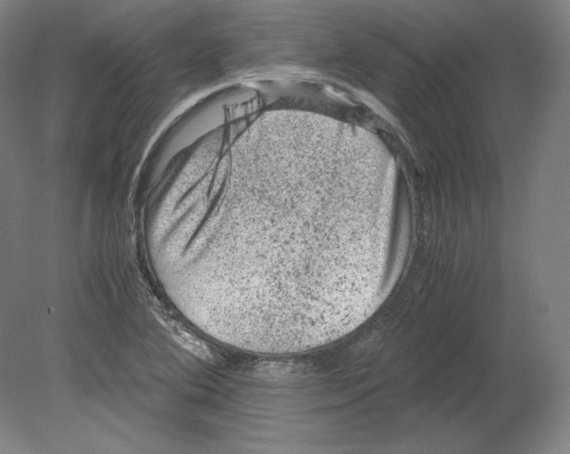 X0000080161364200701051554