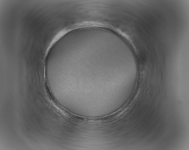 X0000080161365200701051554