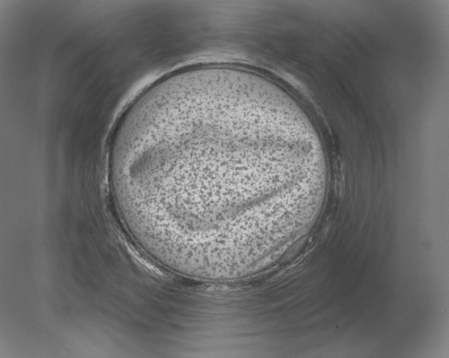 X0000080161366200701051554