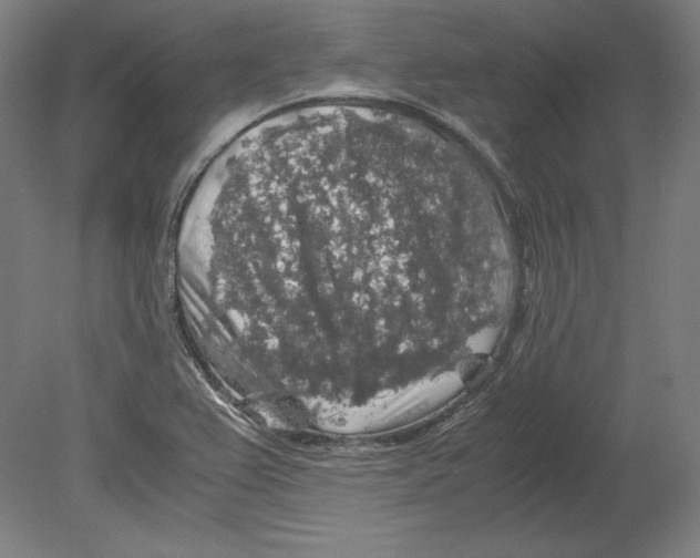 X0000080161367200701051554