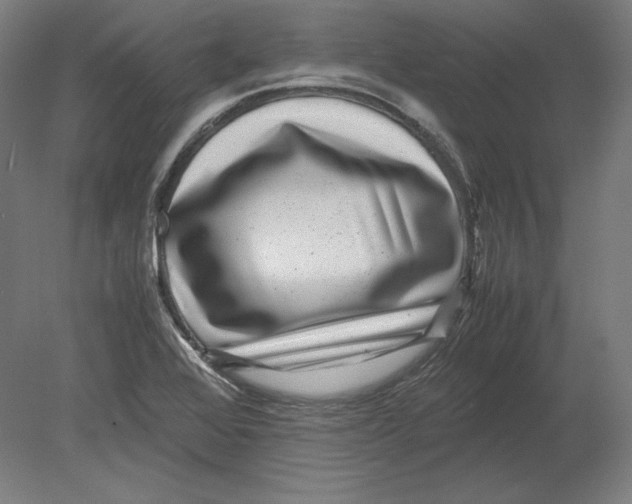 X0000080161368200701051554