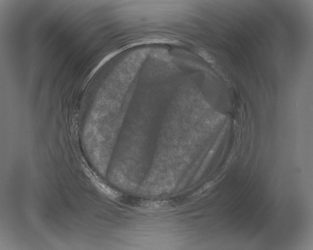 X0000080161369200701051554