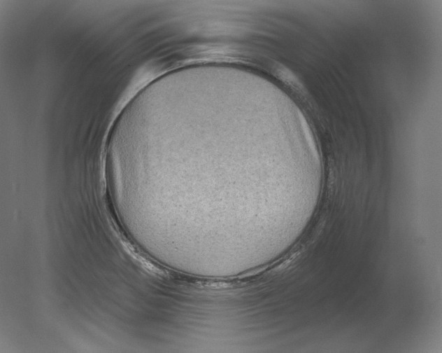 X0000080161370200701051554