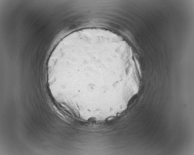 X0000080161371200701051554