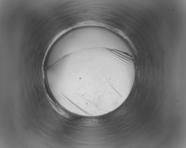 X0000080161372200701051554