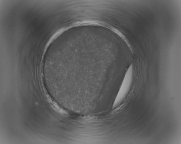 X0000080161373200701051554