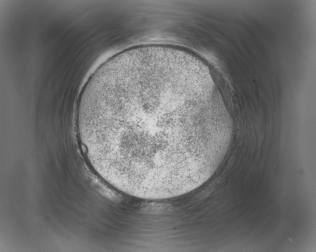 X0000080161374200701051554