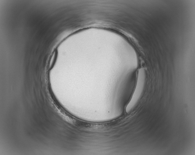 X0000080161375200701051554