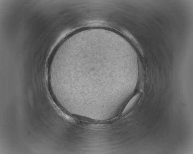 X0000080161376200701051554