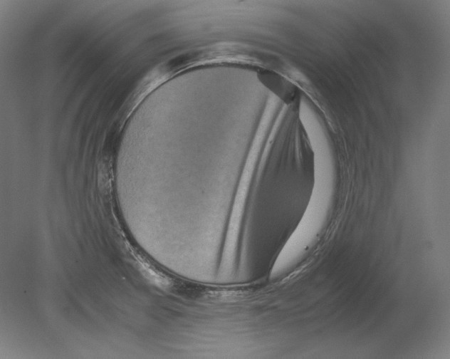 X0000080161377200701051554