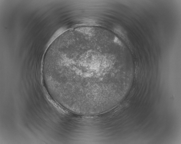 X0000080161378200701051554