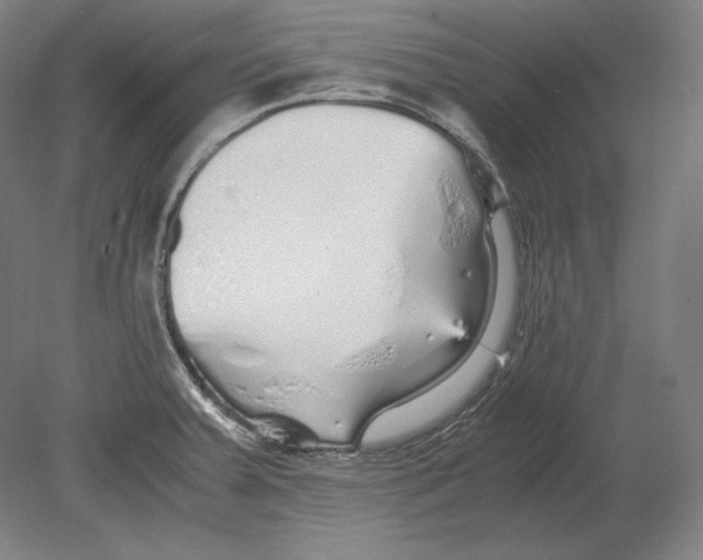 X0000080161379200701051554