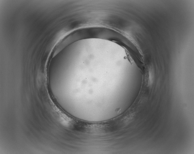 X0000080161380200701051554