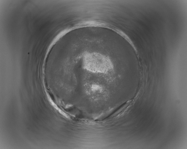 X0000080161381200701051554