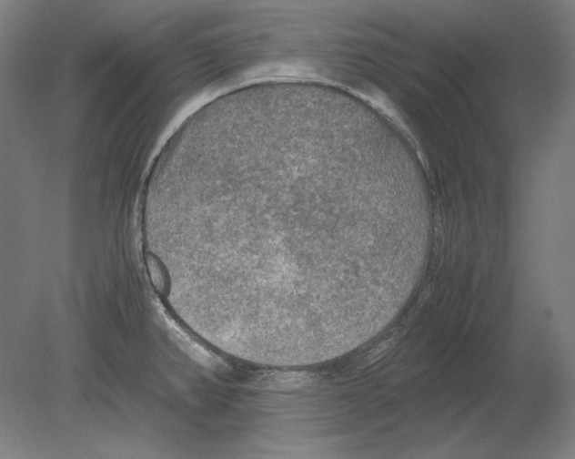 X0000080161382200701051554