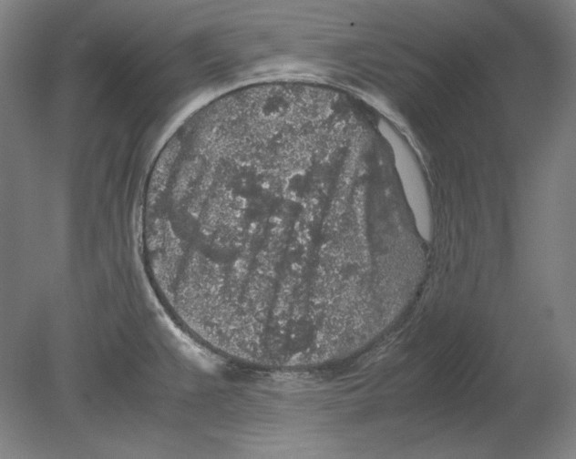 X0000080161383200701051554