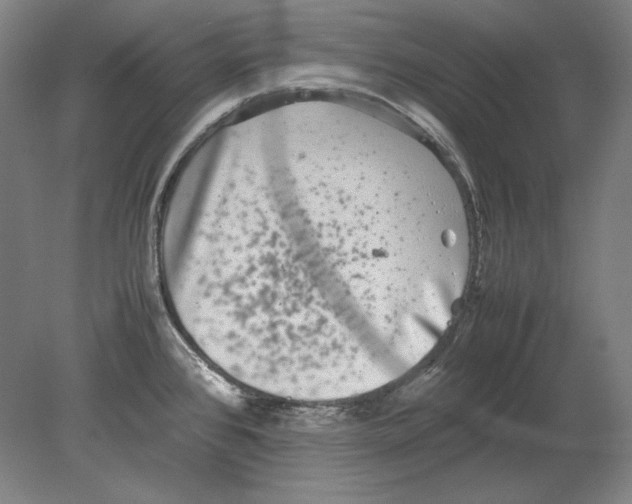 X0000080161384200701051554