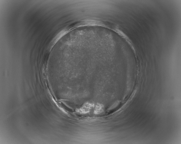 X0000080161385200701051554