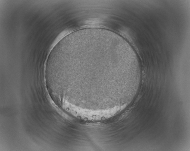 X0000080161386200701051554