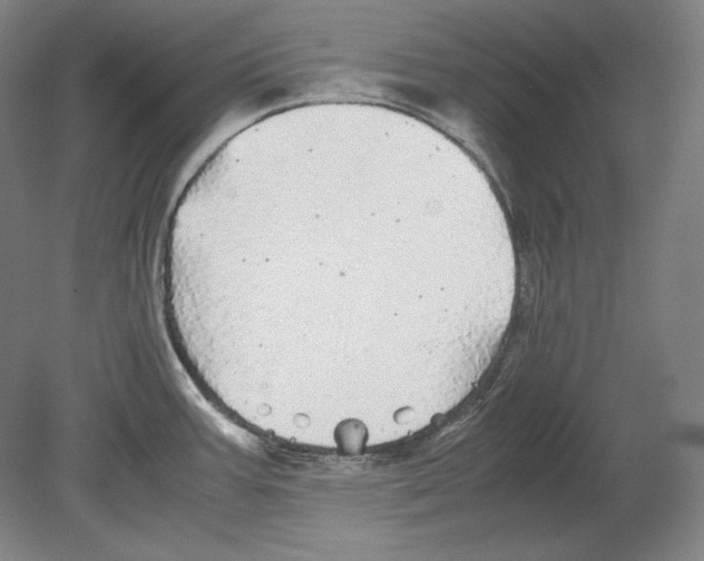 X0000080161387200701051554