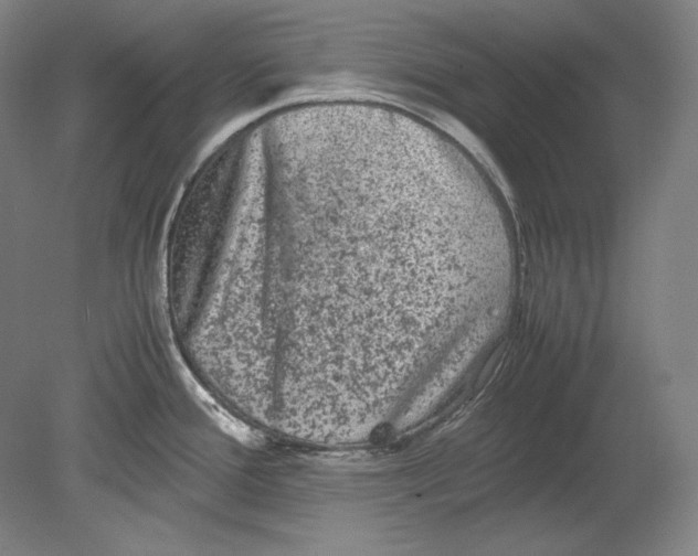 X0000080161388200701051554