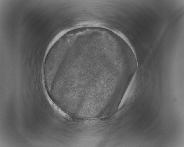 X0000080161389200701051554