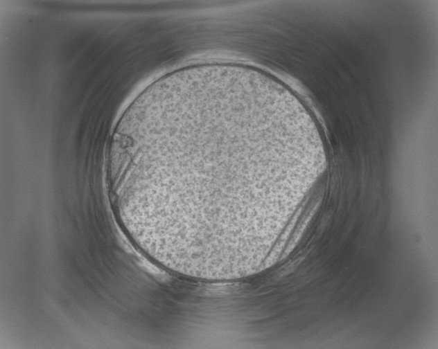 X0000080161390200701051554