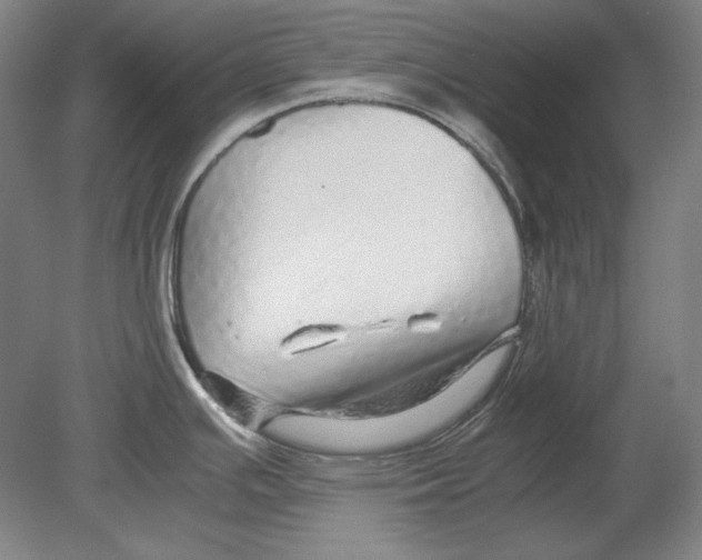 X0000080161391200701051554