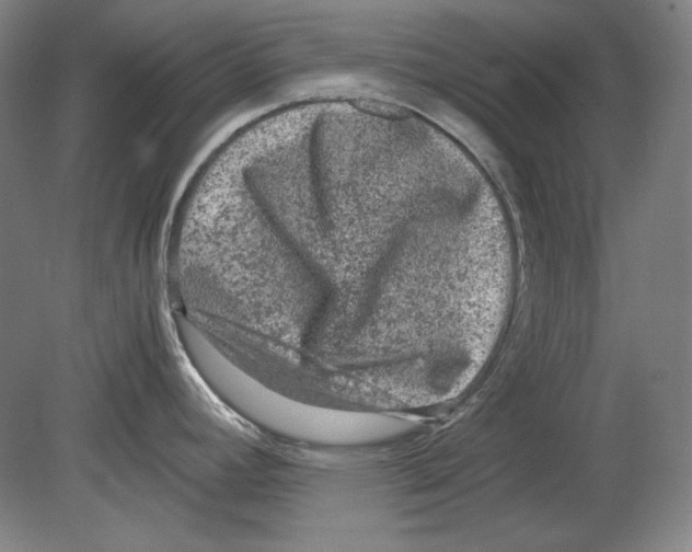 X0000080161392200701051554