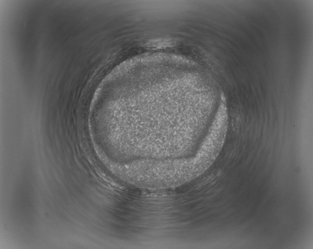 X0000080161393200701051553