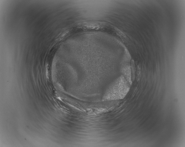 X0000080161394200701051553