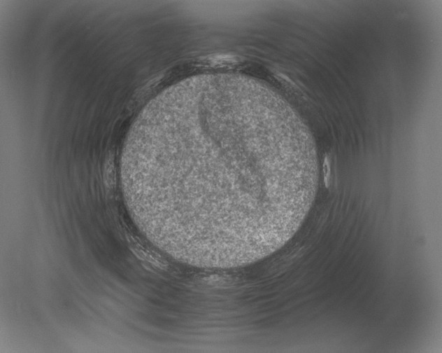 X0000080161395200701051553