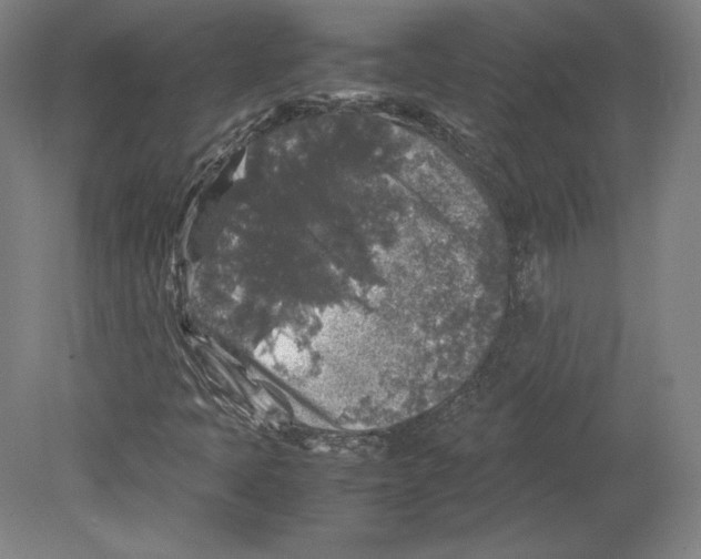 X0000080161397200701051553