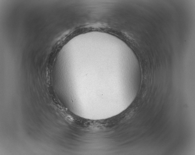 X0000080161398200701051553