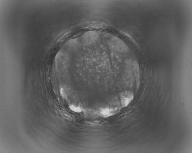 X0000080161399200701051553