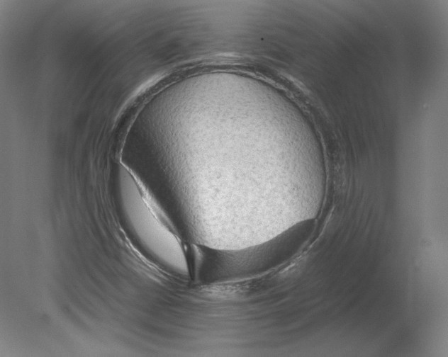 X0000080161402200701051553