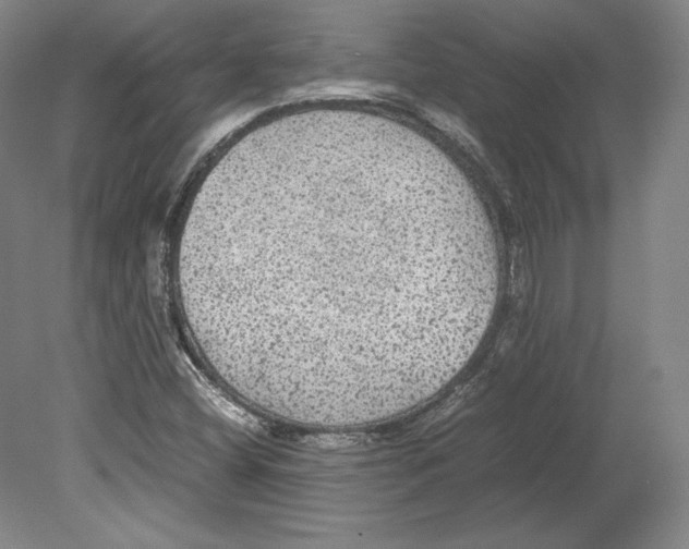 X0000080161404200701051553