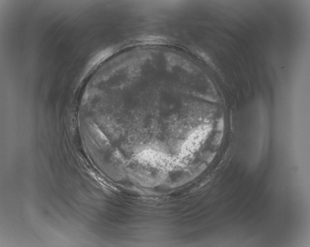 X0000080161405200701051553