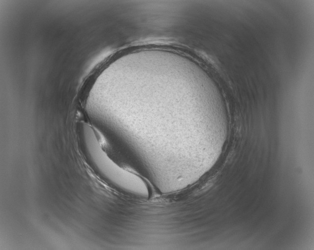 X0000080161406200701051553