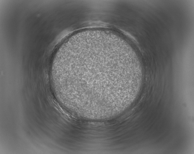 X0000080161407200701051553