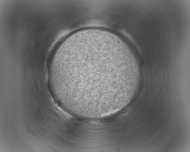 X0000080161408200701051553