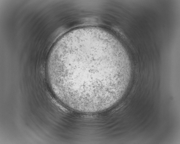 X0000080161409200701051553