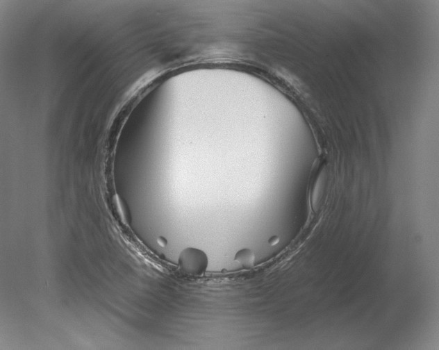 X0000080161410200701051553