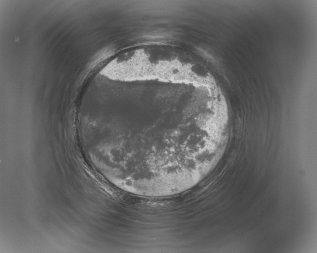 X0000080161411200701051553